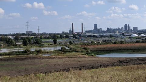 The nature reserve site, with two large ponds, grass, bushes and trees and large tower blocks and pylons in the background. 