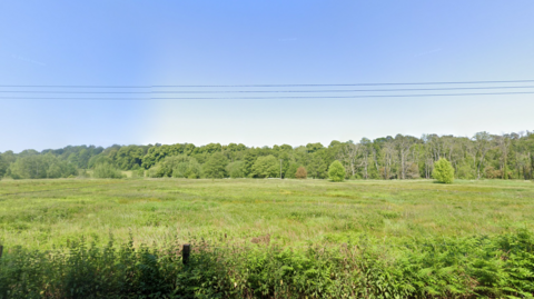 A line of trees along the back of a grassy field under a blue sky.