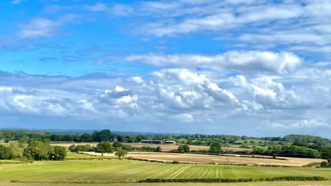 green rural countryside with trees in distance under a cloudy, blue sky