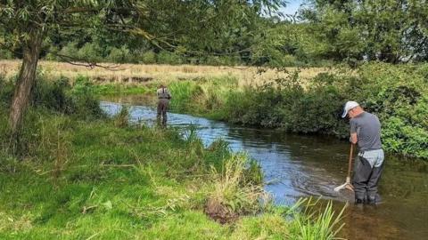 Two men can be seen wading and cleaning water at the River Blythe in Solihull. Trees and bushes can be seen on the river banks