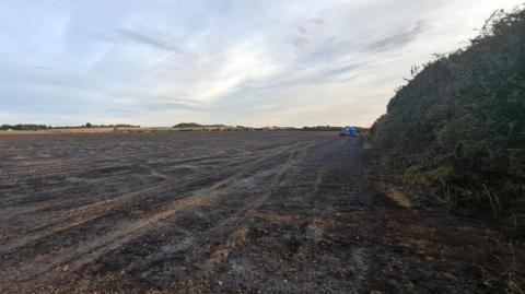 Scorched field after fire with fire engine seen along the hedgerow in the distance. 