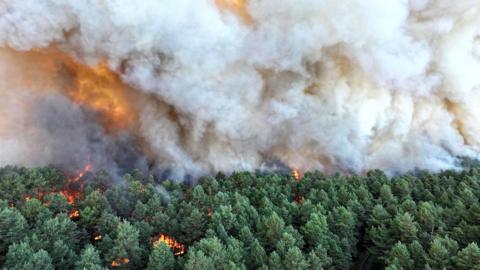 Smoke rises and orange flames can be seen in a wide view of green forest trees burning in Fontainebleau on Sunday.