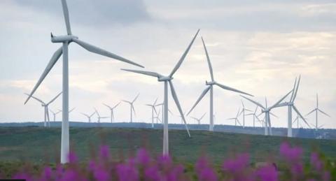 A picture of multiple windmills on a hill, with purple flowers pictured in front.