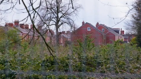 A view of overgrown land showing lots of heavy vegetation in the foreground, with a street of red brick houses just visible above it in the background