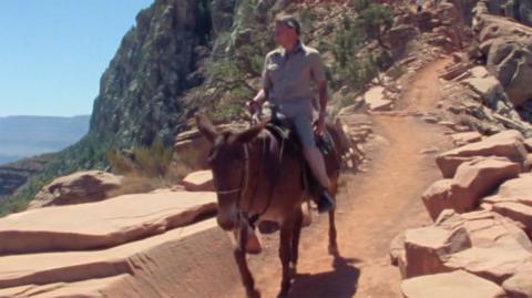 A young Sir David Attenborough on a donkey.