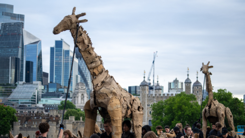 puppet giraffe in London