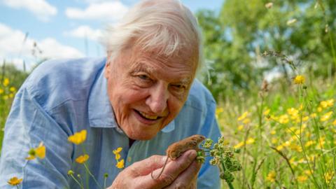 Sir David Attenborough lays in a field holding a small mouse
