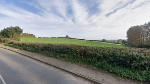 View of a green field from a road. A hedge separates the road from the field and some trees can be seen in the distance.