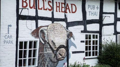 Mural of bull's head painted on the side of a pub bearing the same name