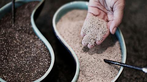 A hand holding out chia seeds out of a bowl