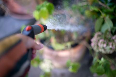 Person using hosepipe on bushes.