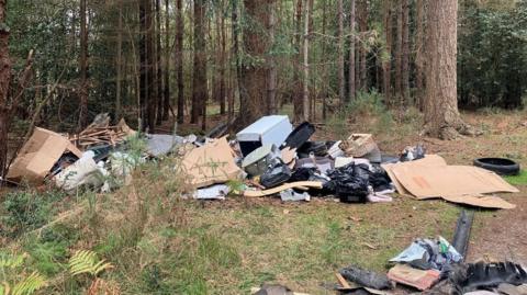 Rubbish all over the floor of the forest. Bin bags, old fridges, tyres, cardboard boxes and tyres are among the rubbish.