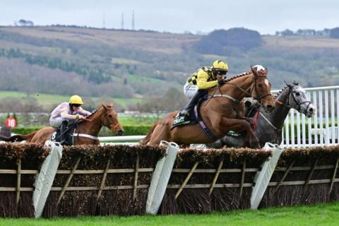 Three horses and their jockeys approaching a padded hurdle at Cheltenham Racecourse. 