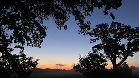 The sun is creating an orange glow on the horizon beneath a sky that looks deep blue - almost purple in colour. Several trees are silhouetted in the foreground