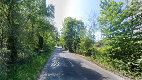 An empty country road lined with leafy trees on a sunny day.