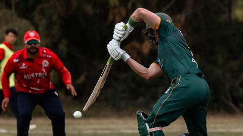 Guernsey batter 