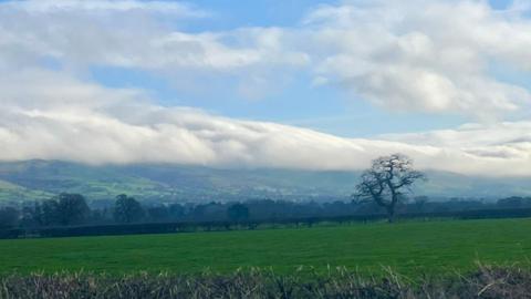 A bright green field edged with trees and mountains behind with blue sky and lots of white cloud