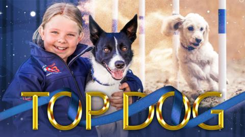 A little girl with her border collie and cockapoo dog
