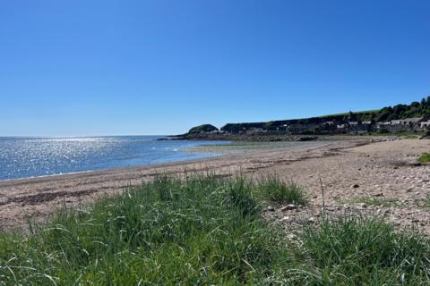 A sunny beach with sea views and grassy dunes in Stonehaven, Aberdeenshire