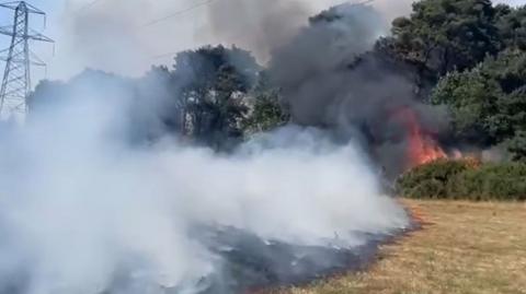 White and grey smoke pouring into the air from the dry brown grass and the green bushes and trees in the distance. the fire can be seen covering a large area and there is an electric pylon in the distance.
