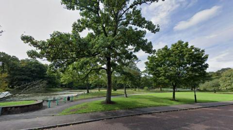 A view of Newsham Park in Liverpool from Orphanage Drive. In the middle of the picture is a large tree and a pond can be seen in the background to the left.