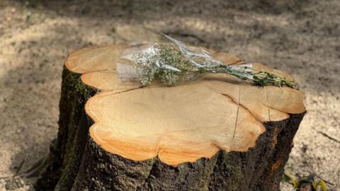 A single bouquet of white gypsophila lies on top of a newly felled tree