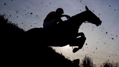 A horse makes a jump at Thurles racecourse