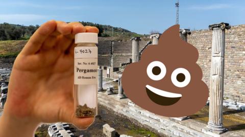 An image combining a photo of Roman ruins, a hand holding up a vial of excrement remains, and the poop emoji