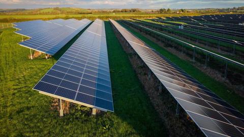 A stock photo of a solar farm. Rows of solar panels can be seen in the photo. They are erected in a field.