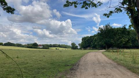 Fields in Newland Park where the festival is proposed to take place