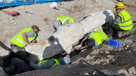 workers digging out dinosaur bones from the ground