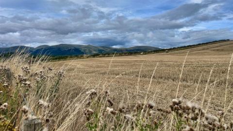 A dry field overlooking mountains in the horizon on a partially cloudy day 