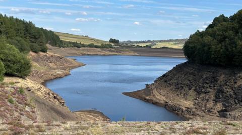 A view looking down onto the blue waters of Digley Reservoir. There are green trees on the banks either side and fields in the background. The sky is blue and sunny.
