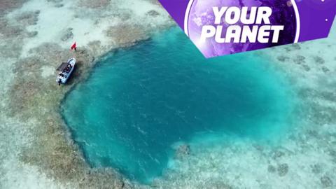 A coral reef with a blue sea hole in the centre and the Your Planet logo
