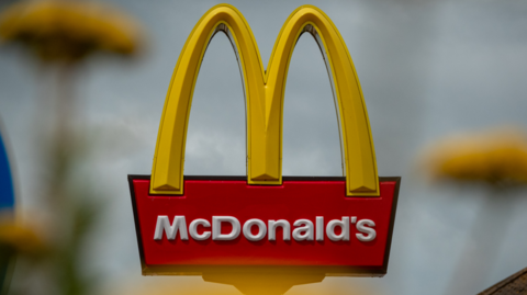 Yellow arches over a sign which says 'McDonald's'. The background is blurred but some yellow flowers can just be made out.