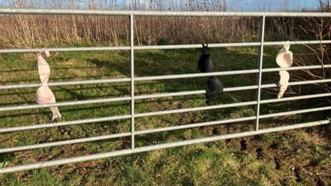 A black bra is tied to a farm fence, with two pink or cream ones either side of it.