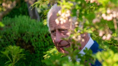 Close up of King Charles surrounded by plants