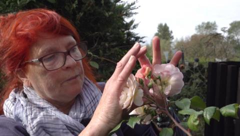 Katie Teakle tends to a rose bush in her garden. She has red hair and is wearing black-rimmed glasses and is wearing a scarf around her neck.