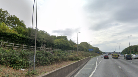 Trees on an embankment next to a motorway