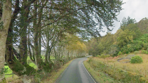 A picture of the A861 near Kinlochmoidart, with trees lining the left embankment and grass on the right hand side.