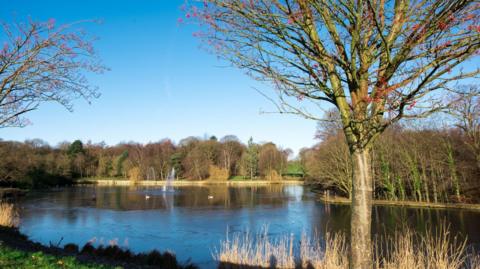 A large pond surrounded by trees. The water in the pond appears calm and reflective, with a fountain visible near the centre. A few birds can be seen floating on the water. In the foreground, there is a tree with bare branches, though some small red berries remain on it. The grass and reeds around the pond are light brown. The background consists of a dense line of trees, mostly leafless, with some evergreen trees adding greenery. The sky is clear and bright blue.