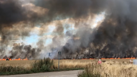 Huge plumes of black smoke and flame reaching into the sky from a crop field of what looks to be wheat. 