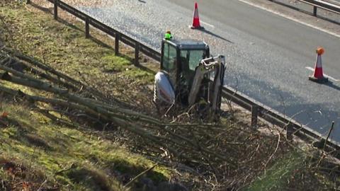 An excavator moving trees on an embankment by the side of a dual carriageway. A number of trees and branches are lying on the ground in front of it. Cones have been placed on the road behind it.