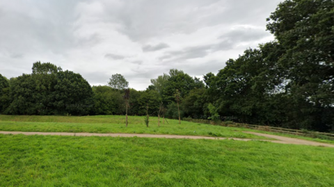 A google street view image of an area of grassland with public footpath, and a forested area behind it with well-established trees. The sky is grey and cloudy.