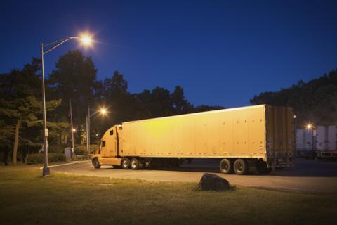 A white lorry is parked up for the night at a truck stop under a street lamp. In the background you can see two other HGV's and around them is tree's and grass.