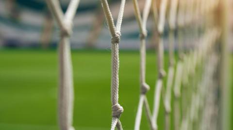 White football net, green grass background - stock photo