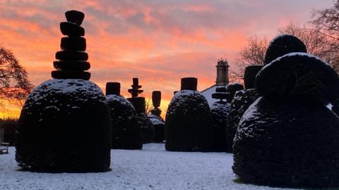 Topiary trees with weird and wonderful shapes in the snow, with an orange dusk sky as backdrop