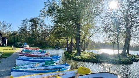 Small rowing boats around a lake with grass to the left and a few trees on a small island in the lake