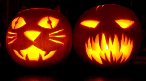 Two pumpkins with candles inside, sitting in the dark. One is carved with the face of a cat, and the other is carved with the shapes of sharp teeth.