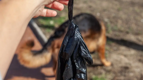 A hand holding a black dog poo bag in the foreground, with an out of focus brown dog in the background.